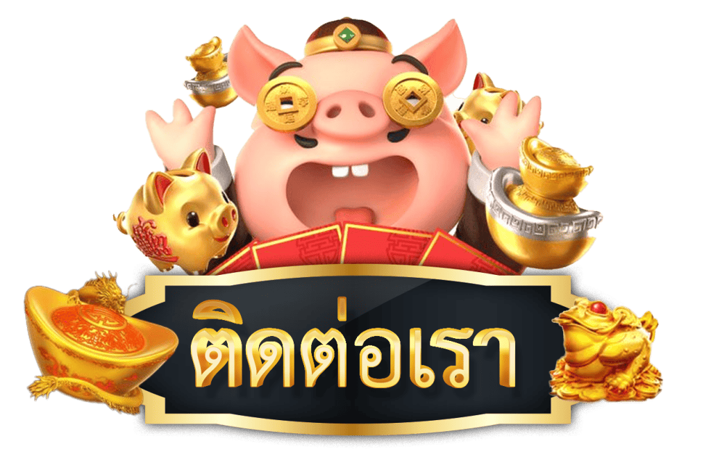 ติดต่อเรา
